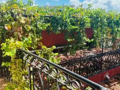 Ferienwohnung für 2 Personen (30 m²) in Santiago de Cuba 10/10