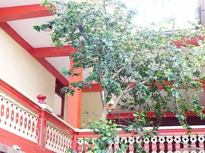 Ferienwohnung für 2 Personen (12 m²) in Baracoa 2/10