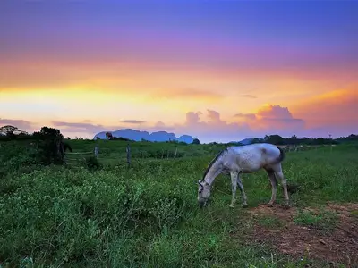 Ferienwohnung für 3 Personen (15 m²) in Mancilla 10/10