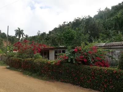 Ferienwohnung für 4 Personen (80 m²) in Baracoa 9/10