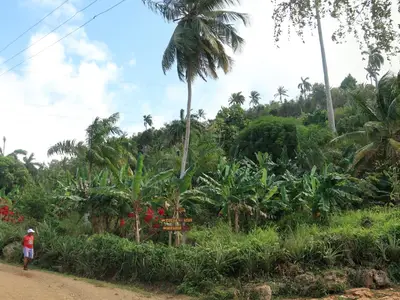 Ferienwohnung für 4 Personen (80 m²) in Baracoa 10/10
