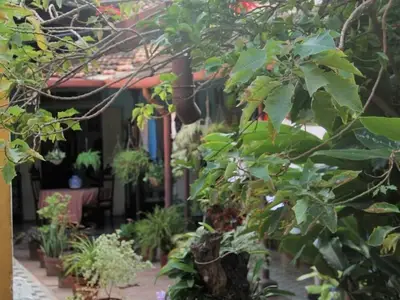 Ferienwohnung für 2 Personen (18 m²) in Trinidad 4/7