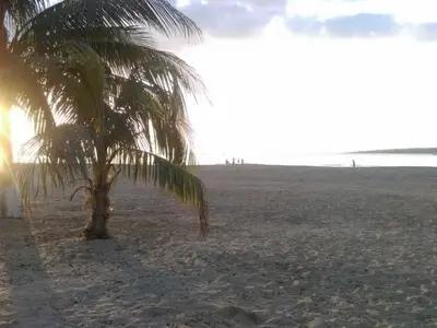 Ferienwohnung für 4 Personen (15 m²) in Trinidad 5/10