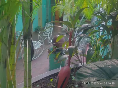 Ferienwohnung für 2 Personen (15 m²) in Camagüey 7/10