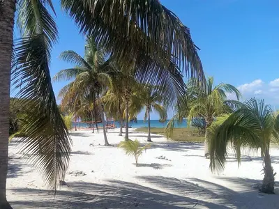 Ferienwohnung für 4 Personen (18 m²) in Trinidad 10/10