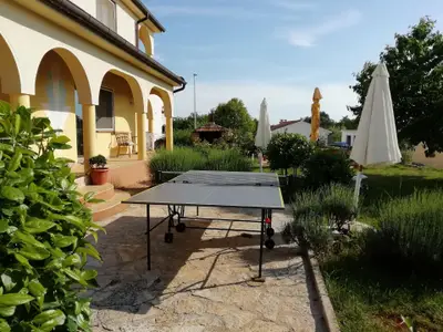 Garten. Tischtennis für Klein und Gross