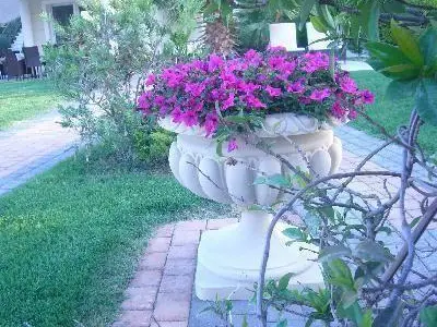 Bild 8