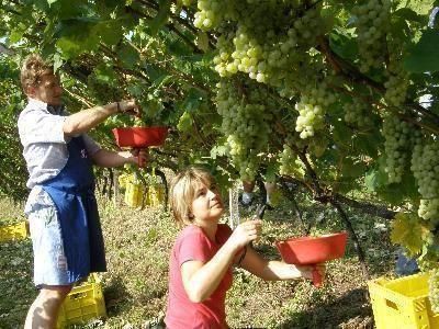 Fleißige Hände machen der Arbeit ein Ende!