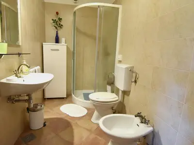 Das Badezimmer verfügt über ein Waschbecken mit Spiegel, Dusche, Bidet und WC.