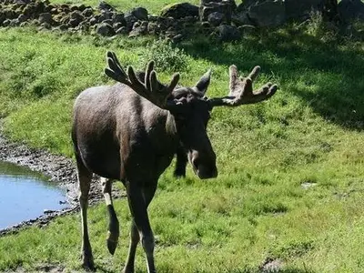 Die Ferienwohnung liegt direkt am Naturreservat