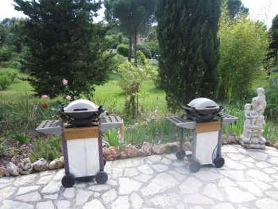 Weber-Grill