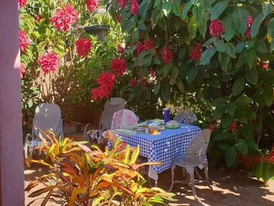 Ferienwohnung für 3 Personen (12 m²) in Trinidad 1/10