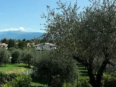 Ausblick von der Terrasse
