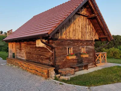 Ferienwohnung für 5 Personen (55 m²) in Stara Gora 6/10