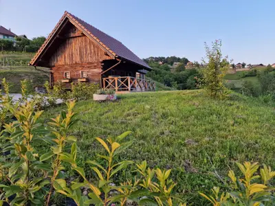 Ferienwohnung für 5 Personen (55 m²) in Stara Gora 9/10