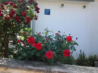 Außenansicht des Gebäudes. Strassen Blick