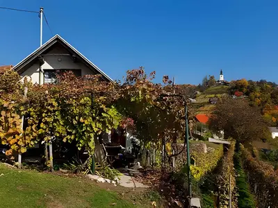 Ferienwohnung für 2 Personen (35 m²) in Rudolfswerth 3/10