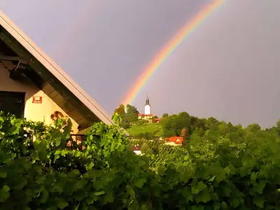 Ferienwohnung für 2 Personen (35 m²) in Rudolfswerth 8/10