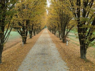 Privaliche Strasse fuer Fattoria Isola