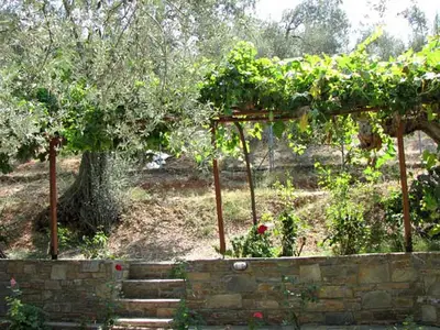 Bild 10
