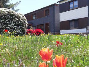 Ferienwohnung für 3 Personen (50 m&sup2;)