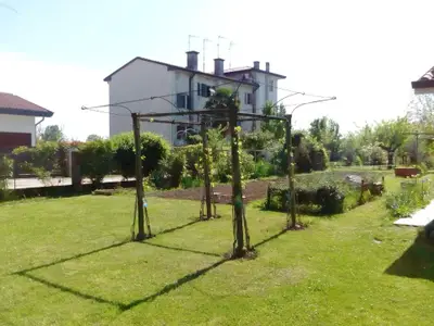 Garten. Gartenseite mit Obstgarten und Weinranken - April