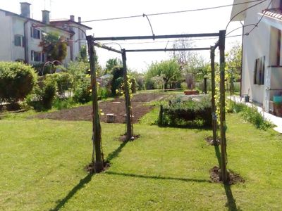 Garten. Gartenseite mit Obstgarten und Weinranken-April