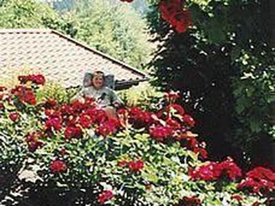 Blick über die Rosenterrasse bis zum Gr. Arber