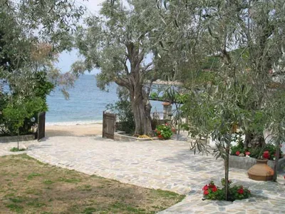 Bild 10