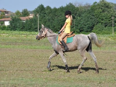 Reitschule in Fattoria Isola