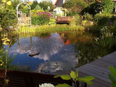 Am teich können Sie die Ruhe genießen oder die Fische beobachten.