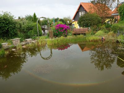 Heute hat sich ein Regenbogen im Teich gespiegelt.