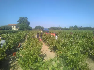 Photo_5