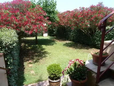 gîte Madeloc St Cyprien 66750. Jardin fleuri.