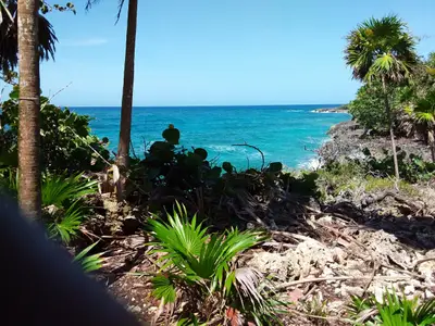 Ferienwohnung für 4 Personen (60 m²) in Municipio de Baracoa 7/10