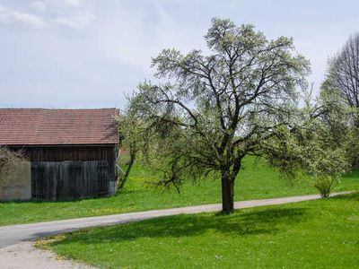 Ferienwohnung für 6 Personen (60 m²) 6/10