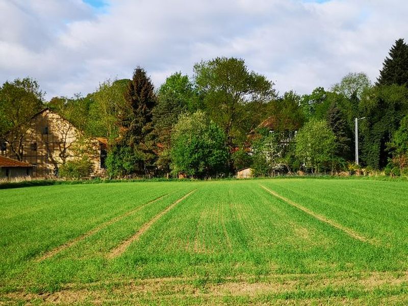 23831802-Ferienwohnung-7--800x600-2