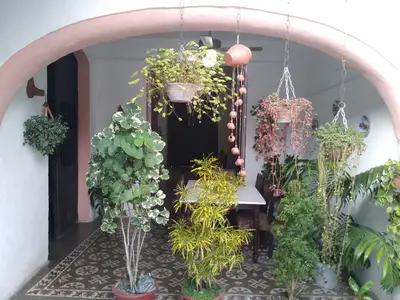 Ferienwohnung für 4 Personen (16 m²) in Camagüey 6/10