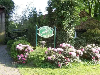 Ferienwohnung für 4 Personen (75 m²) in Bad Zwischenahn 3/10