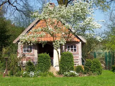 Ferienwohnung für 4 Personen (75 m²) in Bad Zwischenahn 7/10