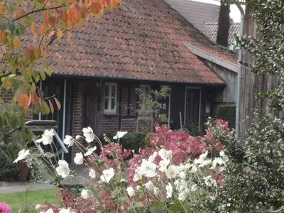 Ferienwohnung für 4 Personen (75 m²) in Bad Zwischenahn 10/10