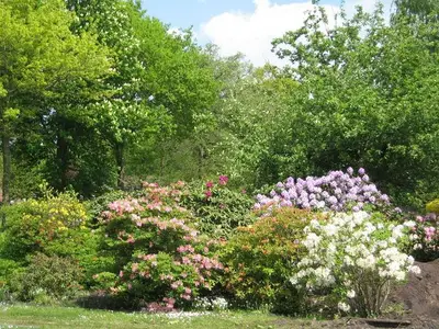 Ferienwohnung für 4 Personen (90 m²) in Westerstede 3/10
