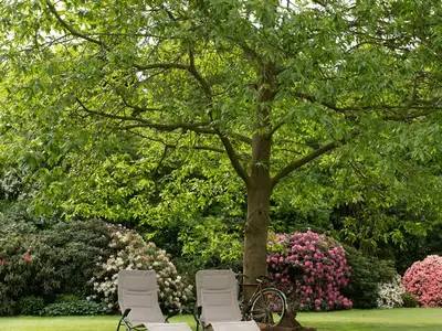 Ferienwohnung für 4 Personen (90 m²) in Westerstede 9/10