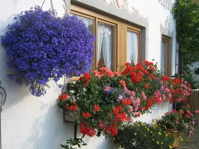 Ferienwohnung für 2 Personen (43 m²) in Bad Bayersoien 6/10