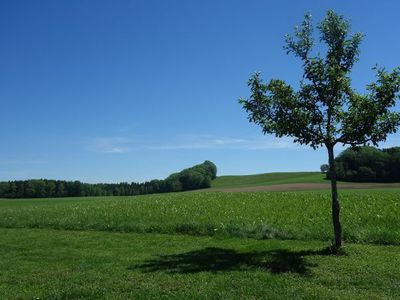 Ferienwohnung für 4 Personen (50 m²) 5/10