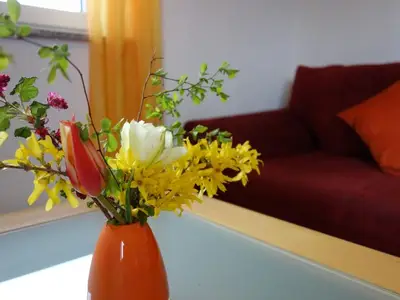 Ferienwohnung für 4 Personen (70 m²) in Schlier 9/10