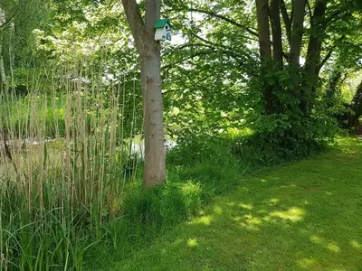 Ferienwohnung für 5 Personen (85 m²) in Winsen (Luhe) 3/10