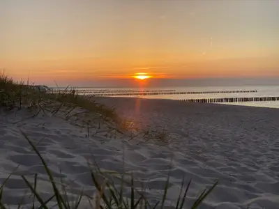 Ferienwohnung für 2 Personen (46 m²) in Zingst 2/10
