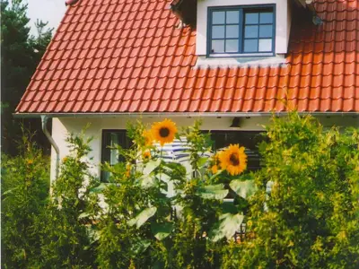Ferienwohnung für 4 Personen (45 m²) in Zingst 1/9