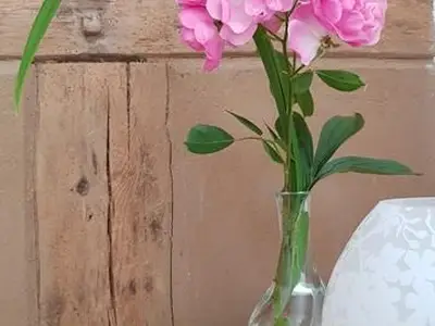 Ferienwohnung für 4 Personen (55 m²) in Kaltenhof 4/10